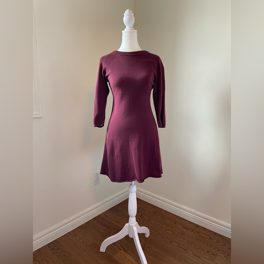 Aritzia Sunday Best Burgundy Knit Dress